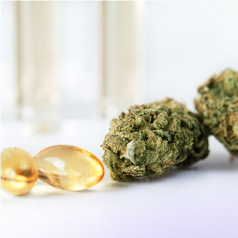 New medical grade cannabis products